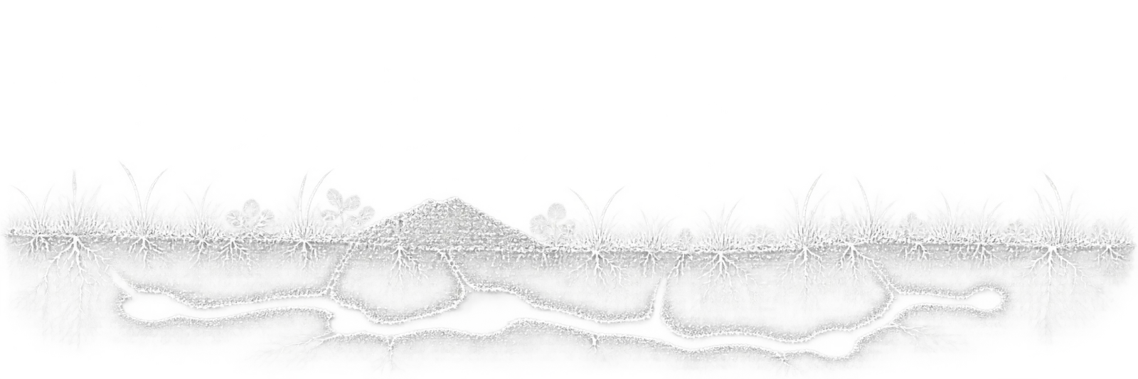 Technische Linienzeichnung von Wurzeln und einem unterirdischen Gangsystem