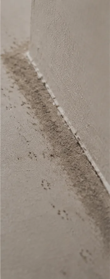 Schmaler Laufweg entlang einer Wand- und Bodenkante